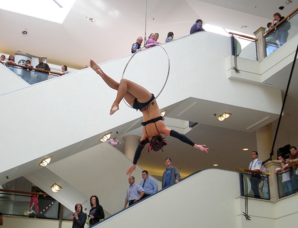 Aerialists Brisbane - Trapeze Artists - Aerial Entertainment Performers