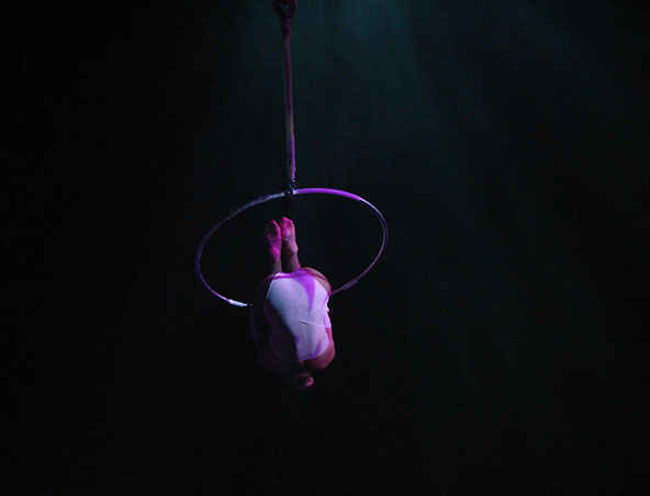 Aerialists Brisbane - Trapeze Artists - Aerial Entertainment Performers